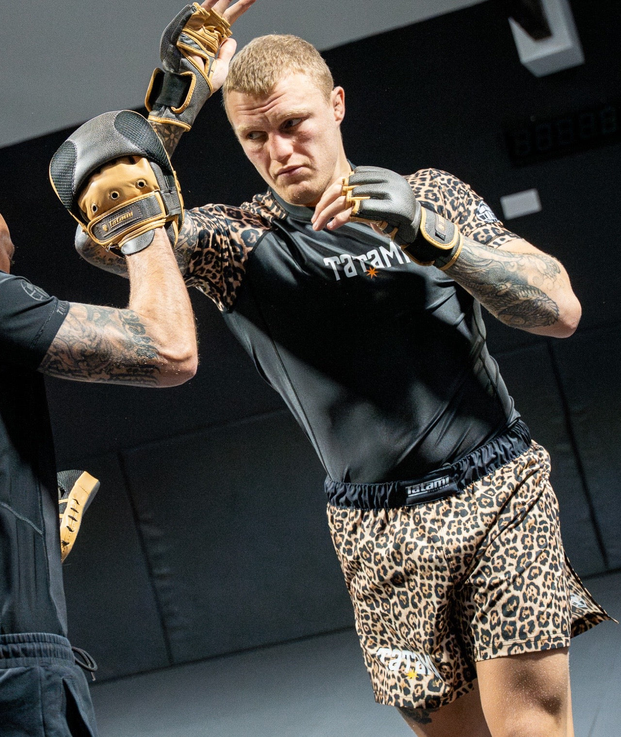 High Split MMA Shorts - Leopard – Tatami Fightwear USA
