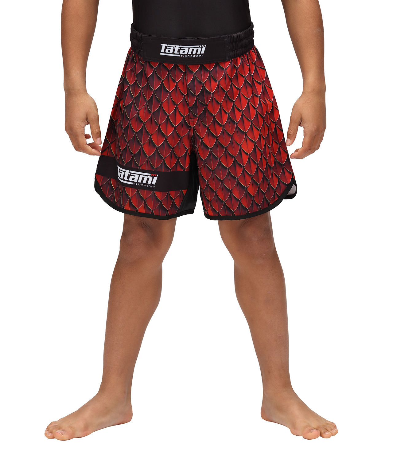 Kids Recharge Grappling Shorts - Dragon – Tatami Fightwear USA